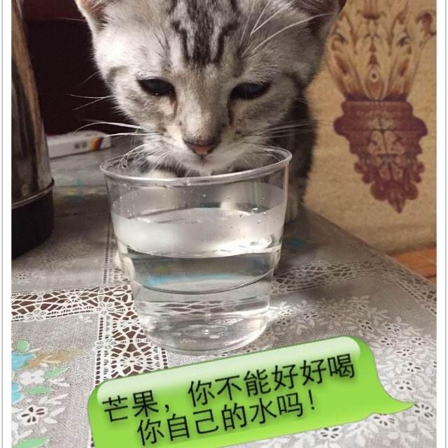亚利桑那州公用事业账单怎么购买
